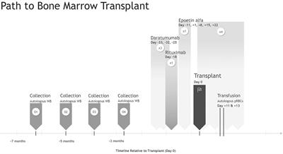 Chronic granulomatous disease and McLeod syndrome: Stem cell transplant and transfusion support in a 2-year-old patient—a case report